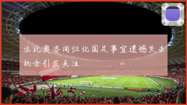 法比奥咨询归化国足事宜遗憾失去机会引发关注